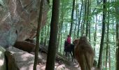 Trail Horseback riding Roppeviller - Tour du Altschlossfelsen - Photo 6