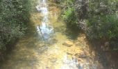 Trail Walking Ampus - Ampus,,,, menhir....N.D. de Speluque...chemin de l'eau - Photo 13