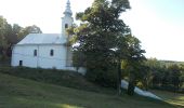 Randonnée A pied Szekszárd - Benedek-szurdok tanösvény - Photo 5