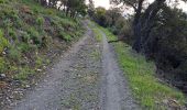 Trail Walking Hyères - N3 1er Borrels - Photo 8