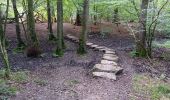 Randonnée Marche Seraing - ptit tour par les ptits chmins du bois de sraing - Photo 8