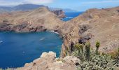 Excursión Senderismo Caniçal - Presqu'île de Sao Lourenço - Photo 3