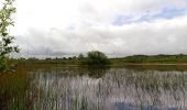 Tocht Te voet Sligo Municipal Borough District - Union Rock Trail - Photo 2