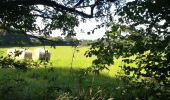 Randonnée Marche Guipavas - Kerhuon-Guipavas-Brest entre mer et forêts  - Photo 19