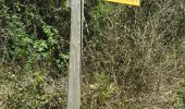 Randonnée Trail Cucuron - Le Mourre Nègre - Sivergues au départ de Cucuron - Photo 18