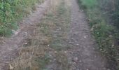 Trail Walking Mercurey - Touches(Mercurey) Mellecey Aluze  Touches  - Photo 5