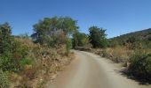 Trail On foot Paderne - Ribeira de Algibre - Photo 5