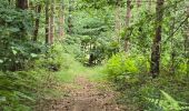 Randonnée Marche La Chapelle-Enchérie - La Chapelle-Enchérie - Bois de Bricsard - Photo 17