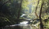 Trail On foot Valbonne - Circuit des Bouillides - Photo 10