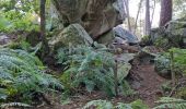 Randonnée Marche Fontainebleau - Fontainebleau sentier Denecourt 10 - Photo 17
