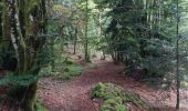 Tour Wandern Cros - Promenade du gite des milles fleurs, au fil de l'eau. - Photo 8