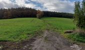 Trail Walking Namur - Malonne 171122 - Photo 2