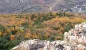 Tour Wandern Bagnols-en-Forêt - REV_ Colle Rousse - Photo 4