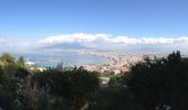 Tocht Te voet Castellammare di Stabia - Sentiero dell'Angelo - Photo 5