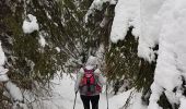 Tocht Sneeuwschoenen Gérardmer - gerardmer2 - Photo 3