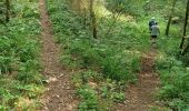 Trail Walking Viviez - Viviez - Photo 2