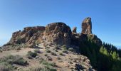 Randonnée Marche Tejeda - Roque Nublo (Gran Canaria) - Photo 13