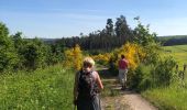 Tour Wandern Libin - Libin 1 - Photo 11