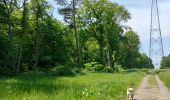 Tour Wandern Seraing - Bois de la Vecquée - Photo 2