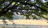 Randonnée Marche Huldenberg - #230710 - Neerijse, nature idyllique dans la réserve naturelle de Doode Bemde**** - Photo 16