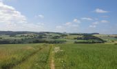 Tour Wandern Sankt Vith - rando schoenberg 20/07/2021 - Photo 14