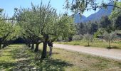 Trail Walking Saint-Rémy-de-Provence - CR_Domitia_BB_24_St-Remy-Provence_Orgon_20220405 - Photo 11