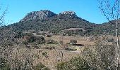 Tocht Stappen Cabrières - Château de Cabrières - Photo 1