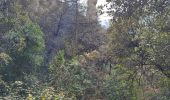 Tour Wandern Murs - Combe Vaumale. Grotte Barigoule 2 - Photo 1