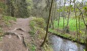 Trail Walking Monschau - Höfen variante narcisses 15,3 km - Photo 15