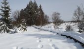 Tocht Te voet Jalhay - Balade dans les Hautes Fagnes - Photo 9