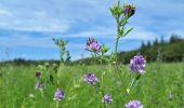 Tour Wandern Beauraing - Revogne - Photo 2