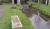 Tour Wandern Courtonne-les-Deux-Églises - Courtonne les deux Eglises - Photo 2