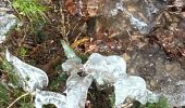 Trail Walking Le Tholy - Les 2 cascades du Tendon (grand tour) - Photo 2