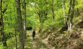 Trail Walking Valfleury - Valfleury - Découverte de ce petit Lourdes et de ses environs - Photo 20