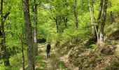 Randonnée Marche Valfleury - Valfleury - Découverte de ce petit Lourdes et de ses environs - Photo 20