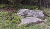 Trail Walking Waimes - baraque michel - botrange via fagne de polleur, retour via fagne wallonne  - Photo 4