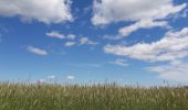 Tour Wandern Nozières - Nozières-col du Buisson  - Photo 2