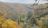 Tour Wandern Ferrières - Vieuxville - Photo 11