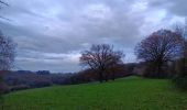 Trail Walking Aywaille - promenade aywaille 