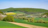 Tocht Te voet Liebenau - Liebenau Rundweg Li2 - Photo 4