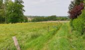 Tour Elektrofahrrad Ronse - Renaix - chemins vers la Cruche - Photo 1