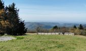 Trail Walking Auxelles-Haut - boucle auxelles-haut, super planche et étang des belles filles  - Photo 11