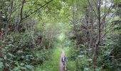 Trail Walking Neufchâteau - Bois d’Ospau - Photo 2