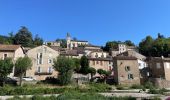 Tocht Stappen Avène - Avène La plaine de Sadde - Photo 6