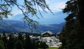 Tocht Noords wandelen Arbaz - 06.07.20 bisse de Sion - Photo 4