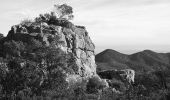 Tour Wandern Saint-Raphaël - Pk Col de Belle Barbe - Col des Suvières - Suvières - Col des 3 Termes - Photo 9