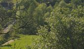 Tocht Stappen Faycelles - Faycelles StEulalie J1+ - Photo 3