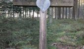 Tocht Te voet Stavelot - 17. Le Ru de Targnon - Photo 4