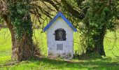 Percorso Marcia Thuin - Balade dans le Bois du Grand Bon Dieu-Thuin - Photo 7