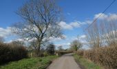 Excursión A pie South Somerset - Macmillan Way West - Photo 3